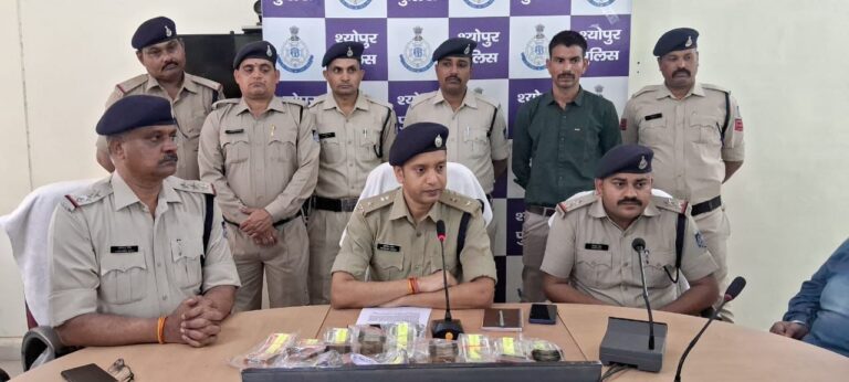 बैंक ऑफ बडौदा से पैसों से भरे बैग पार करने वाली चोरी की घटना का पुलिस ने किया पर्दाफाश  पुलिस टीम ने आरोपियों के घर दबिश देकर बरामद किए गए 03 लाख 99 हजार रूपये