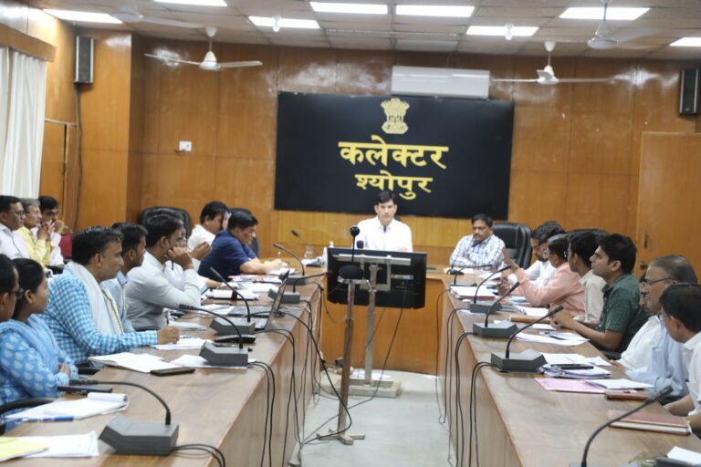 विभागीय जांच का निराकरण एक माह में सुनिश्चित करें-कलेक्टर लोक सेवाओ के लंबित रहने पर पैनल्टी लगाये जाने के निर्देश समय सीमा की बैठक आयोजित