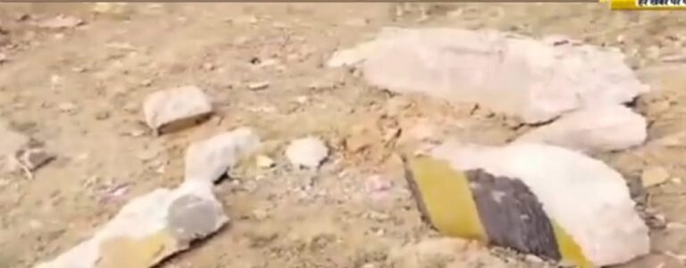 श्योपुर के बीजेपी जिला अध्यक्ष के सामने बोना दिखा प्रशासन