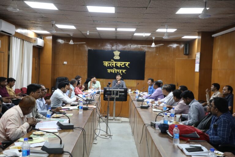 स्वसहायता समूहों का रिपेमेंट बेहतर, इन्हें सीसीएल ऋण दें-कलेक्टर विभिन्न स्वरोजगार मूलक योजनाओं की समीक्षा