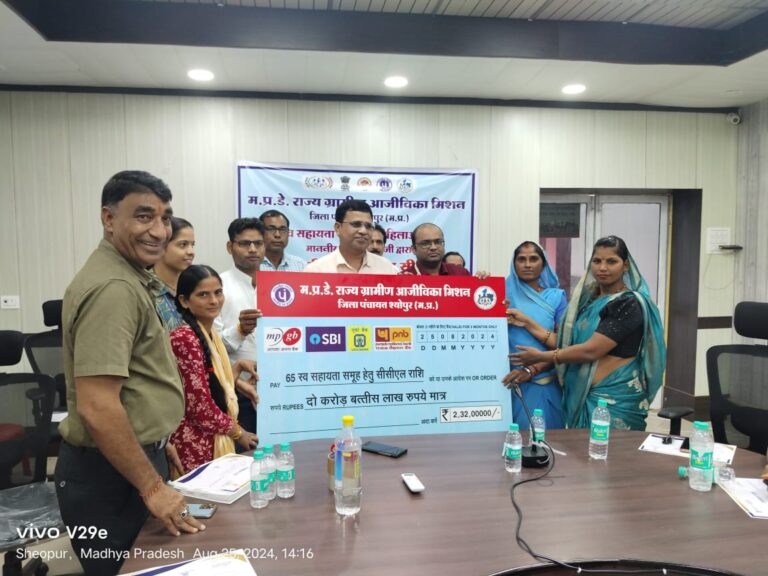 लखपति दीदियों का अभिनंदन कार्यक्रम आयोजित बैंक लिंकेज की राशि का प्रतीकात्मक चेक प्रदान किया गया