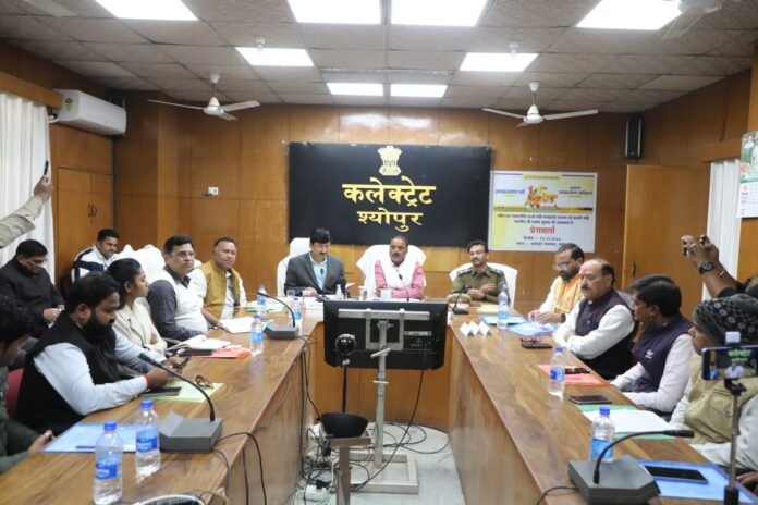 WhatsApp Image 2024-12-13 at 18.39.03_b38e760d