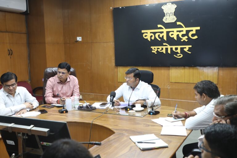 समय सीमा की बैठक आयोजित शासकीय भवनों में लगाये जाये बिजली के स्मार्ट मीटर-डीएम कलेक्ट्रेट में सार्थक एप से हाजरी लगाने की शुरूआत, सभी विभागों को भी दिये निर्देश