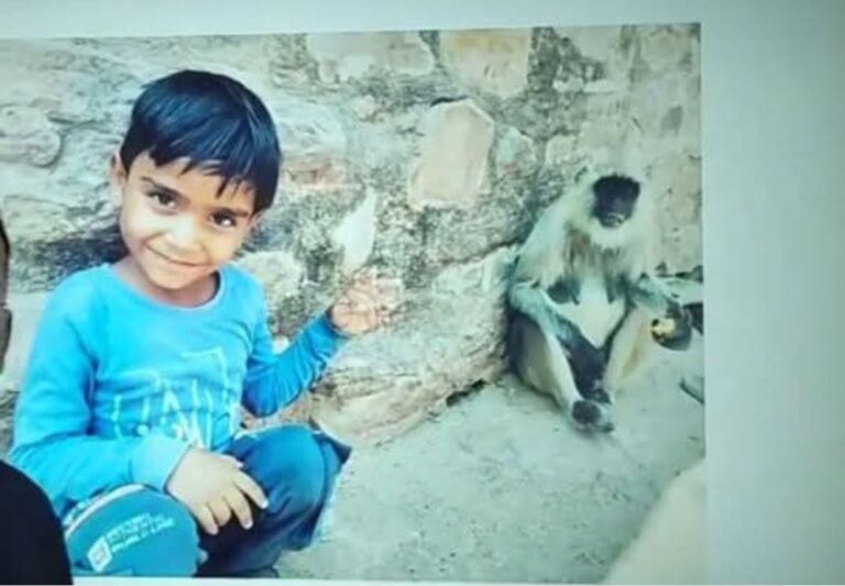 रणथंभौर में दर्दनाक हादसा: टाइगर के हमले में 7 वर्षीय बालक की मौत, दादी बेसुध चाचा की शादी के लिए गणेशजी को न्योता देने आया मासूम, टाइगर ने छीन ली सांसें