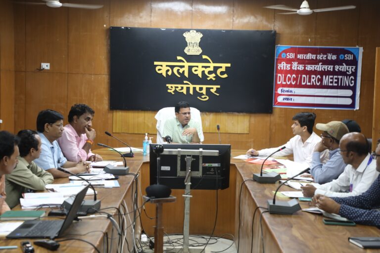 रघुनाथपुर और मानपुर में जल्द खुलेंगी बैंक शाखाएं, सीईओ ने स्वरोजगार योजनाओं में लक्ष्य अनुसार ऋण वितरण के दिए निर्देश