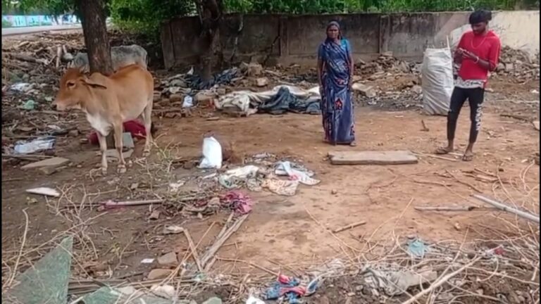 “झोपड़ी के साथ सपने भी उजड़े” — श्योपुर में गरीब आदिवासी महिला का आशियाना रहस्यमय ढंग से हुआ गायब, पटवारी पर गंभीर आरोप