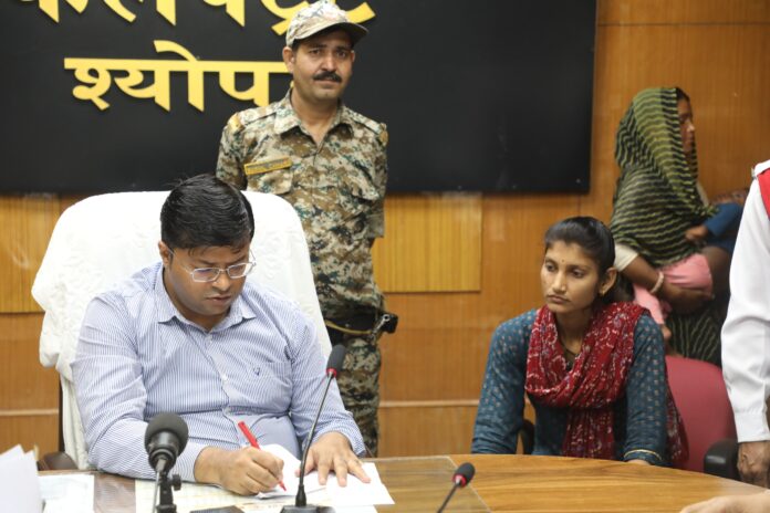 WhatsApp Image 2025-07-08 at 16.21.44_0b6f5e94