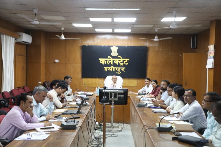 सभी विभाग सूचकांक अनुसार पोर्टल पर जानकारी अपलोड करें – अपर कलेक्टर