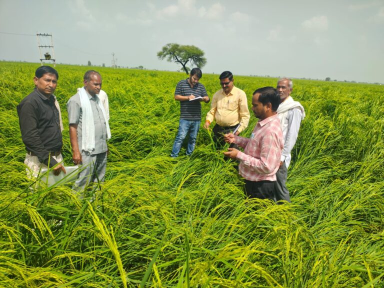 बारिश से फसल नुकसान का आंकलन शुरू, अपर कलेक्टर ने किया ग्रामीण क्षेत्रों का निरीक्षण