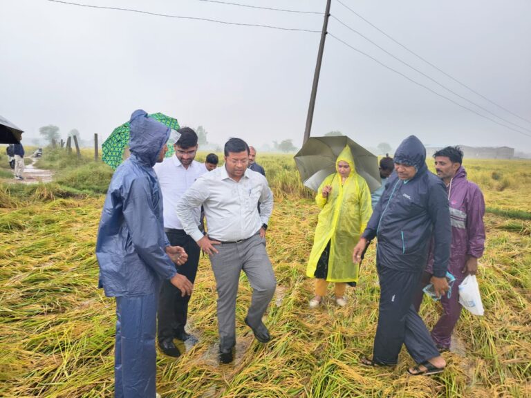 बारिश से फसल खराब? बीमित किसान 72 घंटे में दें सूचना, टोल फ्री नंबर 14447 पर करें शिकायत