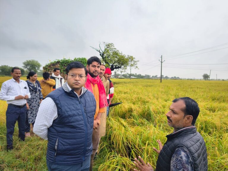 श्योपुर में बिन मौसम बरसात से तबाह हुई धान फसल, किसानों पर टूटा संकट का पहाड़