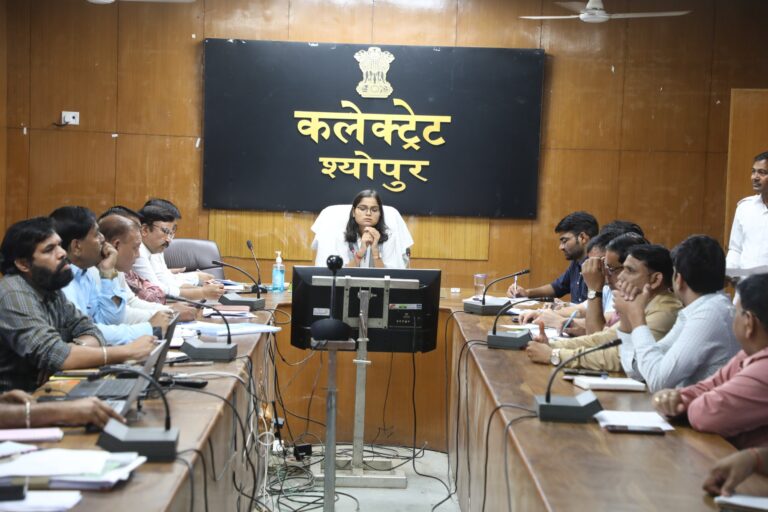 तीनों ब्लॉक मुख्यालयों पर बनेंगे आनंद भवन ,सांस्कृतिक भवन हेतु आवंटित भूमि का सीमांकन शीघ्र कराने के निर्देश