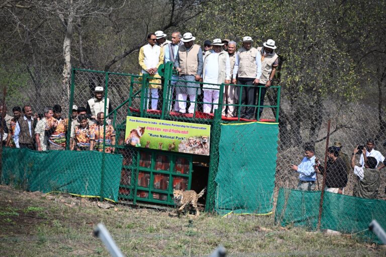 जैव विविधता संरक्षण की दिशा में ऐतिहासिक कदम: बोत्सवाना से कूनो पहुंचे 9 चीते