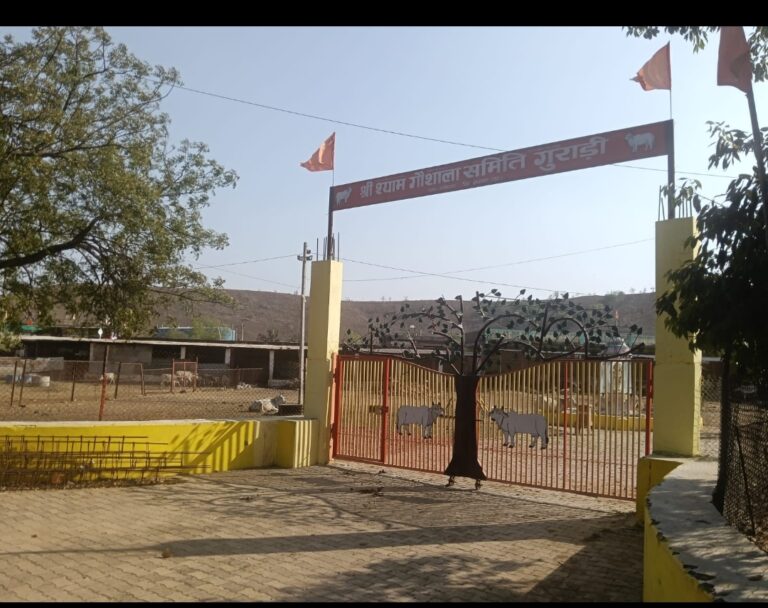 गुराड़ी गौशाला में बड़ा खुलासा: 270 के अनुदान पर 200 गौवंश कुपोषित, कई गायब होने का आरोप