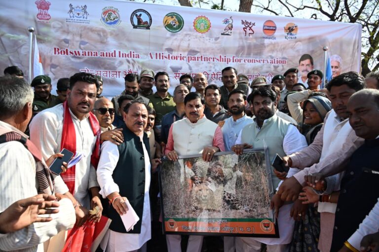 कूनो में ऐतिहासिक कार्यक्रम, लेकिन सवालों के घेरे में जनप्रतिनिधियों की गैरहाजिरी