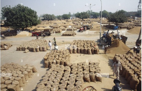 WhatsApp Image 2026-03-31 at 7.31.04 PM