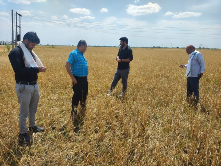 ओलावृष्टि से तबाही! बीमित किसान 72 घंटे में दें सूचना, वरना नहीं मिलेगा मुआवजा