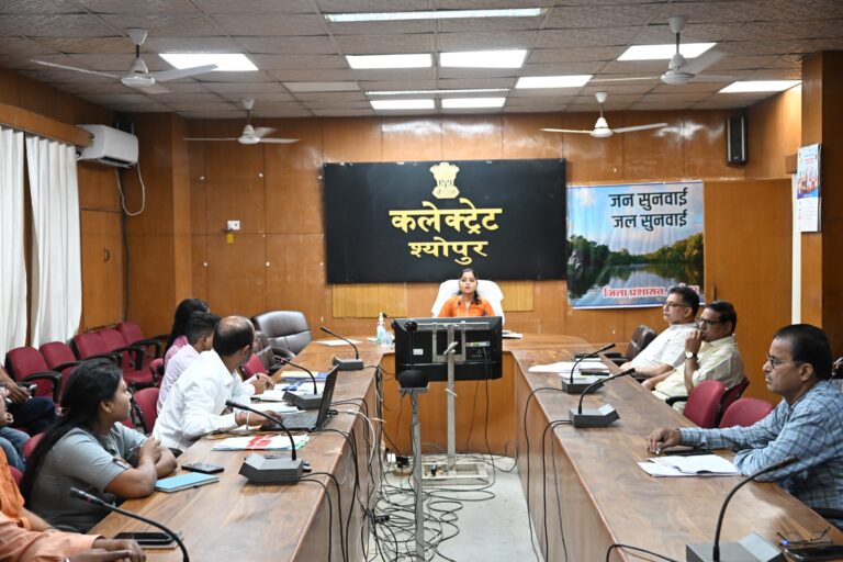 युवाओं के रोजगार पर फोकस: कौशल समिति की बैठक में सख्त निर्देश, “सीखो-कमाओ” लक्ष्य समय पर पूरा करें