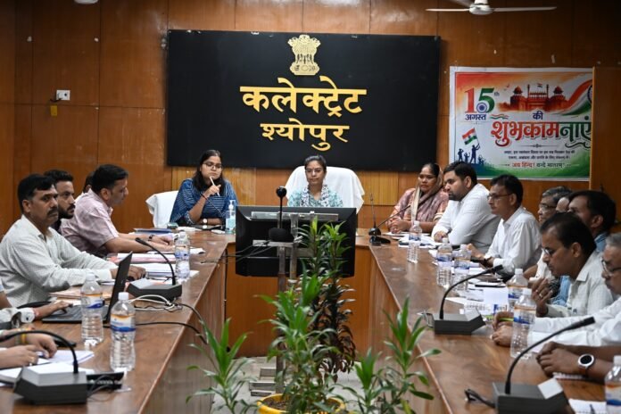 WhatsApp Image 2026-08-19 at 5.56.48 PM