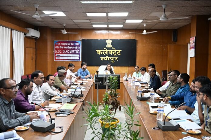 श्योपुर में रोजगारमूलक योजनाओं की डीएलसीसी बैठक में कलेक्टर शीला दाहिमा